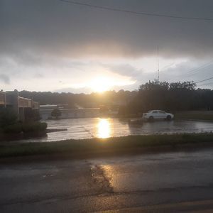 Meet your Posher, Tena